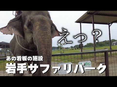 【岩手旅】あの看板気になってません？夢の冒険：岩手サファリパークの魅力！大迫力のサファリバスで動物さんとふれあい！【岩手帰省・一関市】