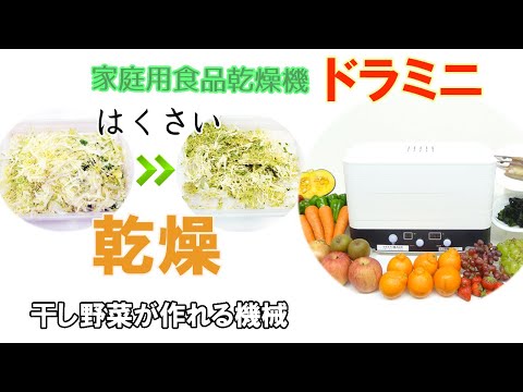 【野菜パウダー作りの前工程など】ドラミニを使って「はくさい」を乾燥