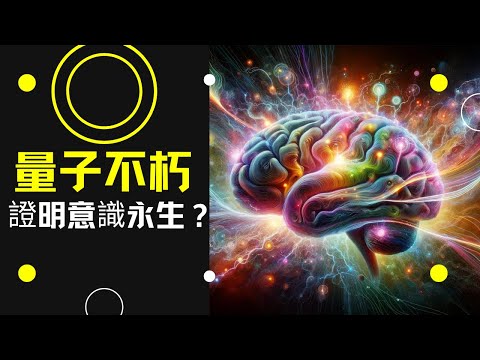 量子不朽能否證明意識永生？