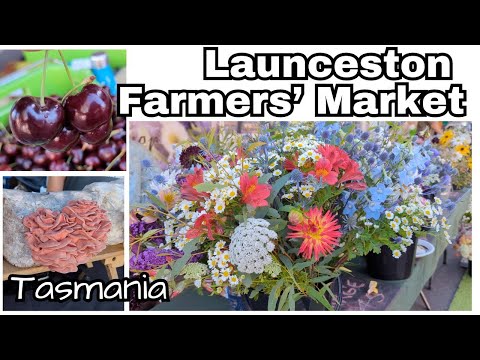 Launceston farmers' market, Harvest Launceston Community Farmers’ Market , Launceston Tasmania