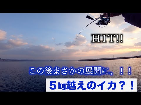 『大物HIT！！』エギングでまさかの大物に、、、！