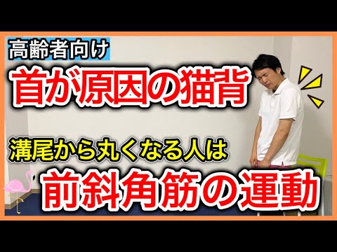 【背中が丸まる】背中ではなく首の筋肉が硬くなる事で起こる猫背や指の痺れを解消する首の斜角筋ストレッチ