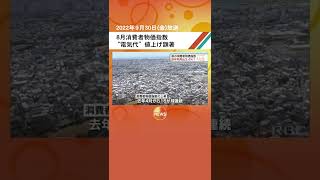 8月消費者物価指数 “電気代”値上げ顕著