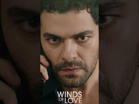 Halil, Kazım'ın kaçışına müsade etmiyor | #windsoflove #shorts #ruzgarlitepe