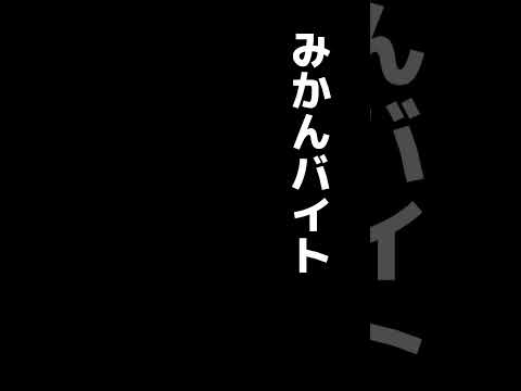 みかん収穫するよりよっぽどおもろい#トロッコ　#和歌山　#有田みかん #みかん　#農業　#軽バン　#旅　#日本一周　#バンライフ