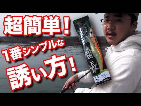 【エギングしゃくり方】初心者でも簡単！イカ釣り用エビ型ルアー/エバーグリーンエギ番長