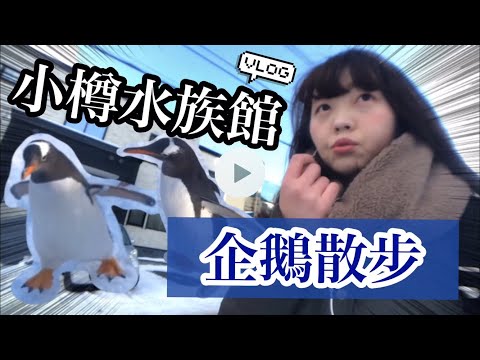 北海道旅遊推薦 去小樽水族館看企鵝在雪中散步🐧 雪國居民的休假日[日本生活] | Kayo Channel