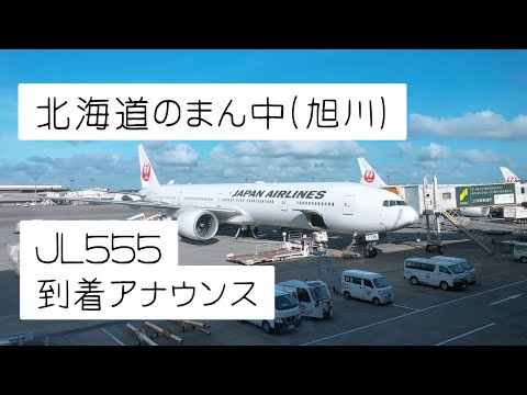 【機内アナウンス】JL555