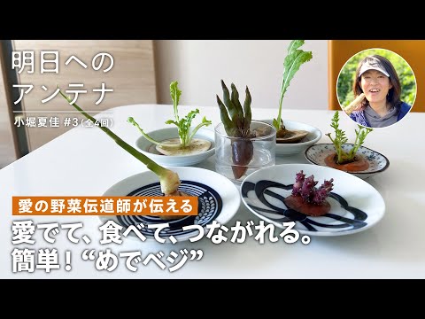 新芽栽培“めでベジ”をご紹介！#3(全4回)愛の野菜伝道師・小堀 夏佳さん【明日へのアンテナ】｜by Domohorn Wrinkle