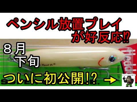 【バス釣り】霞ヶ浦・利根川_牛堀_激渋_ペンシル放置プレイ_8月下旬2021年8月29日