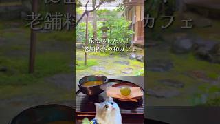 【石川•金沢】秘密にしておきたい！老舗料亭の和カフェが最高だった…！😻 #石川県 #カフェ #ねこ　@ninjasuzukiyurie