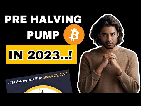 Bitcoin Bottom Based On Past Bear Market & Pre Halving PUMP in 2023