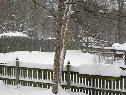 Maryland Blizzard II and snowstorm, 2009