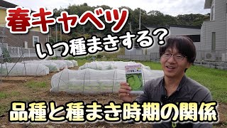 【春キャベツ】今年栽培する品種と種まき時期の関係