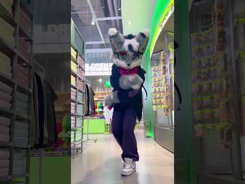 Buy a new coat try out and #dance at the clothing shop. #furrydance #FURSUIT #dancing