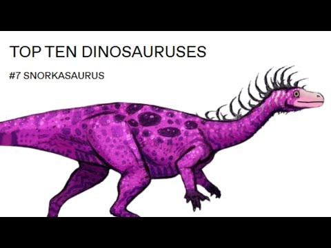 Top Ten Dinosauruses - Number 7 - Snorkasaurus