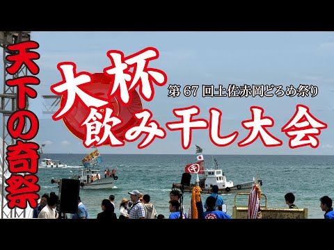 天下の奇祭！「大杯飲み干し大会」【第67回土佐赤岡どろめまつり】Sake Big Drinking Contest