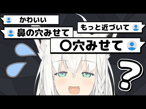 すごく可愛い白上フブキにキモい要求をするすこん部ども【ホロライブ・切り抜き】