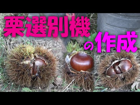 【栗】栗選別器の作成