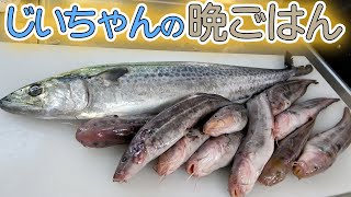 【爺ちゃんの晩ご飯】じいちゃんが大好きなゴンズイでゴンズイ丼とお味噌汁の大満足セットを作りました！