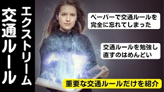 交通ルールはとりあえずこれだけ覚えておけ！/ペーパードライバーや運転の初心者のための動画【愛知・岐阜・三重・滋賀のペーパードライバースクール】#ペーパードライバー