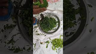 Palak Saag recipe 😋 famous in Punjab👌