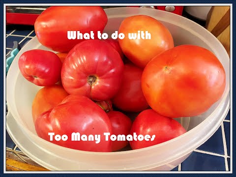 Too Many Tomatoes -- How to Freeze For Canning Later