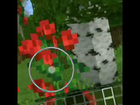 заставка к новому видео и на конкурс @ima_ss надеюсь подойдёт #edit #minecraft