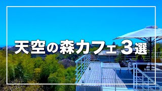 【鎌倉 天空の森カフェ3選】鎌倉デートにおすすめ絶景庭カフェ｜樹ガーデン｜ル・ミリュウ鎌倉山｜湘南デート飯