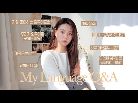 Language Q&A | My language study journey to become trilingual (KOR,ENG,CN) | 💖