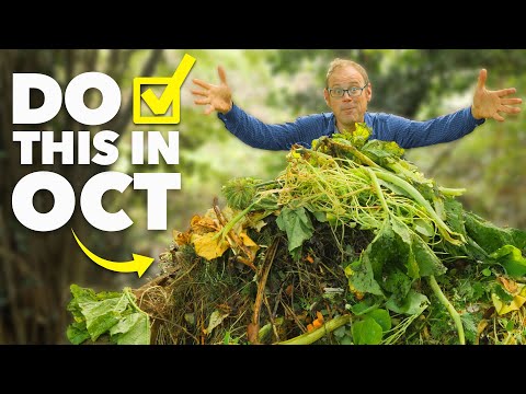 Garden Checklist: 10 Tasks You Need To Do In October