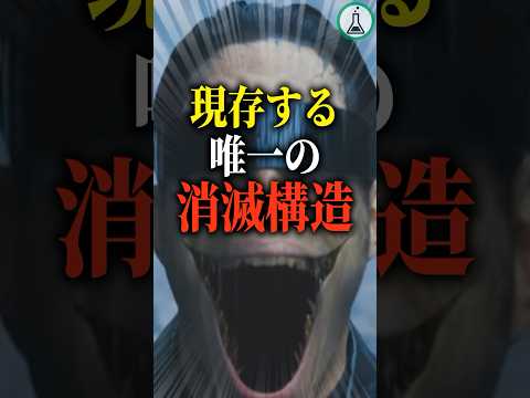 現存する唯一の消滅構造「反物質」#科学 #ゆっくり解説 #雑学