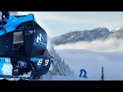 Arctic Cat's Redemption