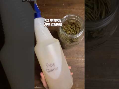 Today on the Homestead: Bottling Our All Natural Pine Cleaner | Nature in a Bottle #shorts