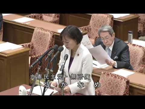 堤かなめ　2023年11月14日　衆議院・地域・こども・デジタル社会形成に関する特別委員会