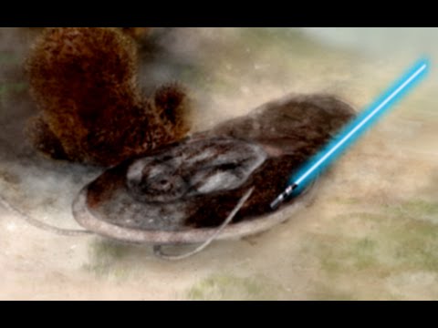 3 Animals Named after Star Wars