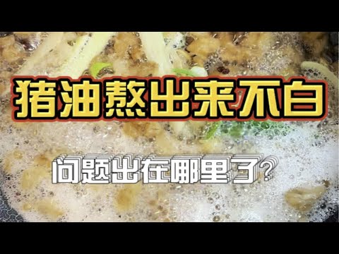 跟着教程熬猪油，却一点都不白，问题出在哪里了？