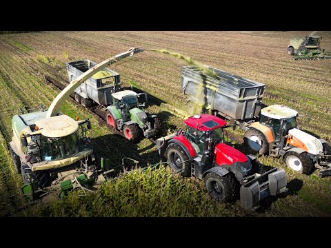 Maishäckseln 2024! Krone BIGX 1180 / Maisernte extrem / JohnDeere, Case und Fendt Traktoren