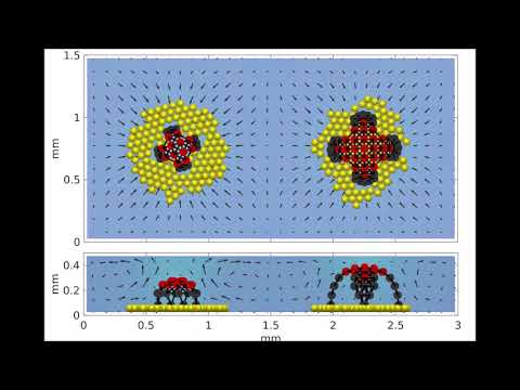 Collaboration and competition between active sheets for self-propelled particles