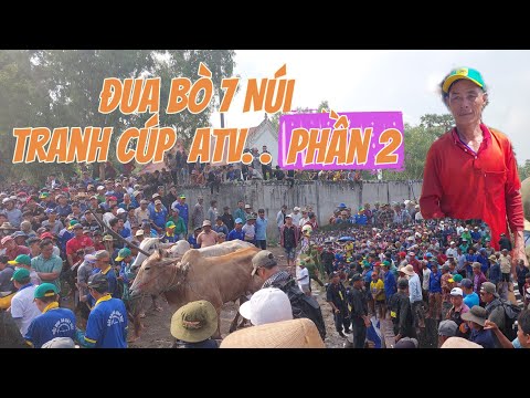 lễ hội đua bò tranh cúp truyền hình atv chuyền thống của người dân tộc khơme xã vĩnh trung An Giang