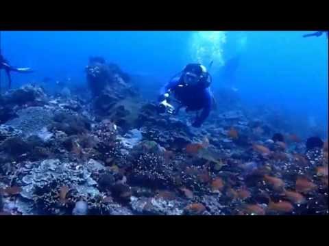 バリ・ヌサペニダツアー　　２０１２年お正月