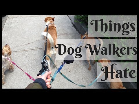 5 Things Every Dog Walker HATES