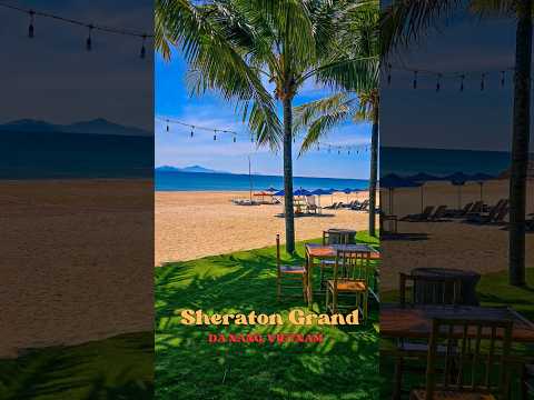 Best Beach Resort in Vietnam. #vietnam #sheratondanang #travelvlog #shorts #viralvideo