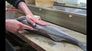 【職人技】20年魚を捌き続けた男の神業超珍しい生のギンダラ捌き方 How to prepare large fish