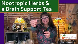 Herbs for Brain Fog, Focus, and Memory Plus an Herbal Tea Blend to Make at Home