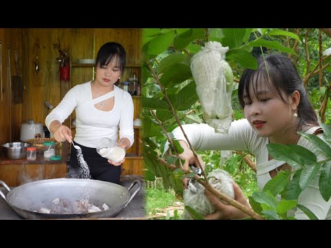 Pick guavas to sell at the market and cook bone stew with taro to enjoy with your pets.