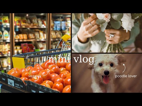 📍Coop shopping 🛍 day || great deals || mini vlog