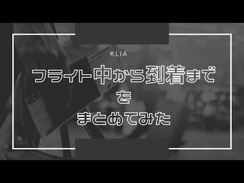 フライト中から到着までをまとめてみた