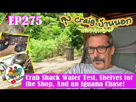 EP275 Crab Shack Water Test, Shelves for the Shop, And an Iguana Chase!