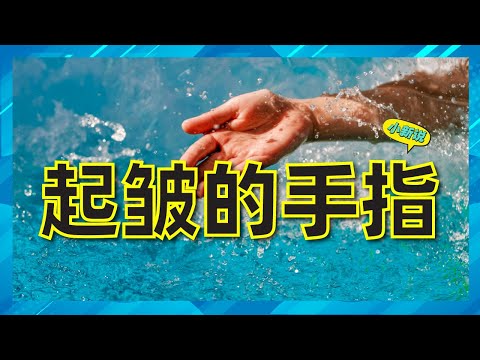 为什么手指和脚趾浸泡在水里久了会起皱？